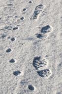footprints of a dog and a man in the snow
