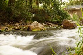Ems Watercourse in Forest