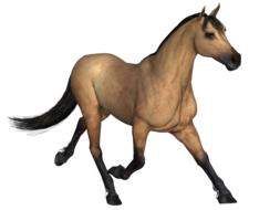 horse brown as a 3d drawing