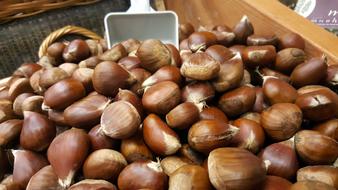 large big nuts