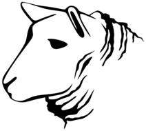 barnyard lamb drawing