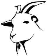 barnyard goat drawing