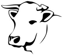 animal barnyard cattle drawing