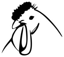 white black chicken drawing
