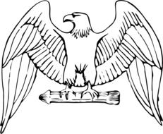 bird eagle drawing