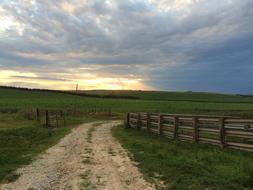 the road leading to the meadow