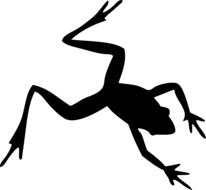 freshwater frog drawing
