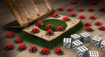 luck ladybug secret book contents