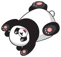 funny panda lies