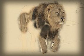 lion drawing, digital art