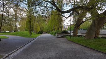 green trees road