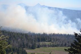 wildland fire