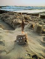 Sea Sand shore