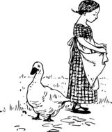 dress duck farm drawing