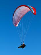 human parachuting into the sky
