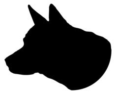 animal canine dog head drawing