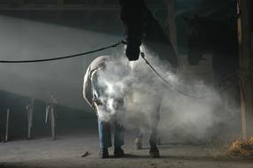 Horse Farrier Blacksmith Tools