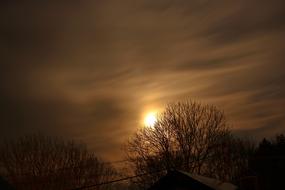 orange moon in the sky above the trees