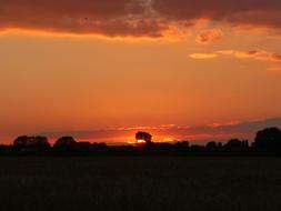 Red Sunset Evening