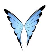 drawn blue butterfly wings on a white background