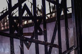 star of david on the fence