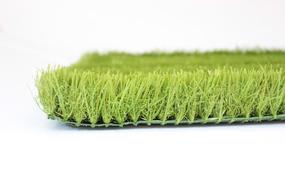 Sport Grass