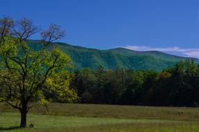 Mountains Landscape Nature