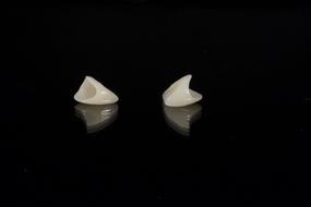 Dental Porcelain Tooth in dark
