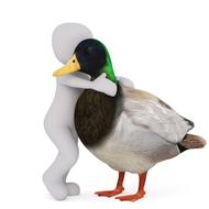 person hugging mallard drake, 3d model