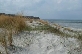 Baltic Sea Nature Sand Dune