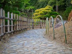 Japanese Garden Path