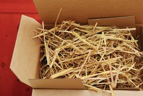 dry hay in a cardboard box