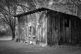 Wood Shed Scale Old
