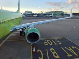 green airplane wing