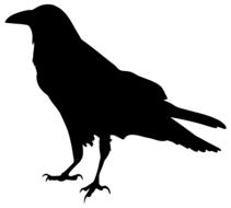 drawing of black crow animal bird