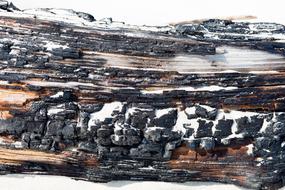 piece of burned wood close up