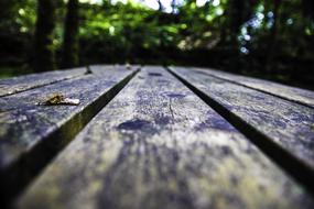 Bench Table Wet