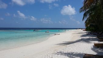 Beach Paradise Maldives Palm