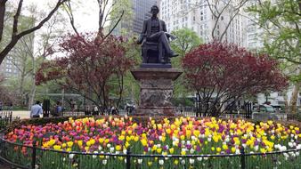 New York Spring