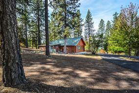 cottage among the trees in the forest