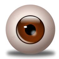bola eye globo ocular