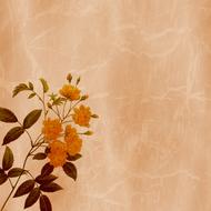background scrapbooking texture orange flowers drawing