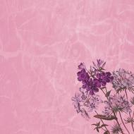 background scrapbooking texture pink flowers