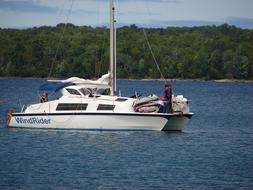 Catamaran on lake superior at forested coastline, usa, wisconsin