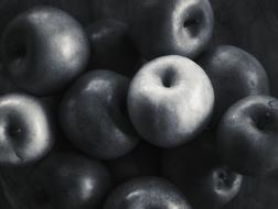 Apples Black And White Forbidden