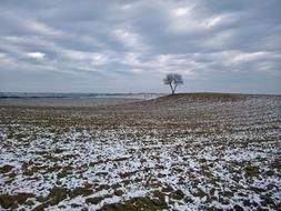 Nature Winter Field
