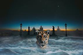 tiger thriller night monster drawing