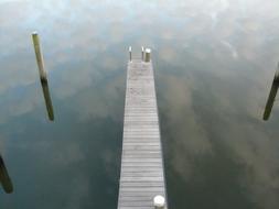 Water Web Lake