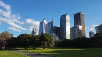 skyscrapers among green trees in sydney