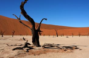 Namibia Sossusvlei Dunes